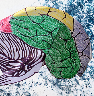 Evropský den mozku 2026